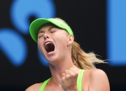 3377- 卡拉波勋章任务流程 